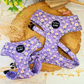 Lucky Little Lavender Daises Dog Harness